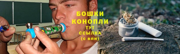 крисы Белоозёрский