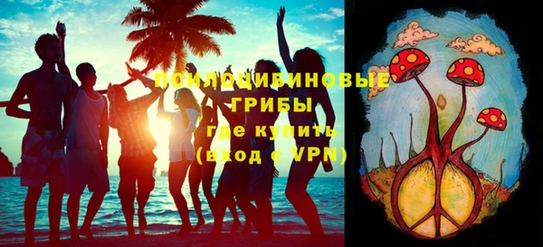 МДПВ Дегтярск
