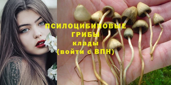 каннабис Богородицк