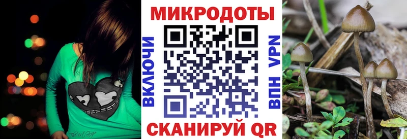 купить закладку  кракен   Галлюциногенные грибы GOLDEN TEACHER  Невель 